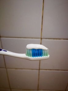 福建佳期對粉臻白亮齒牙膏使用效果的評價 臻白亮齒，笑容自信的秘密武器